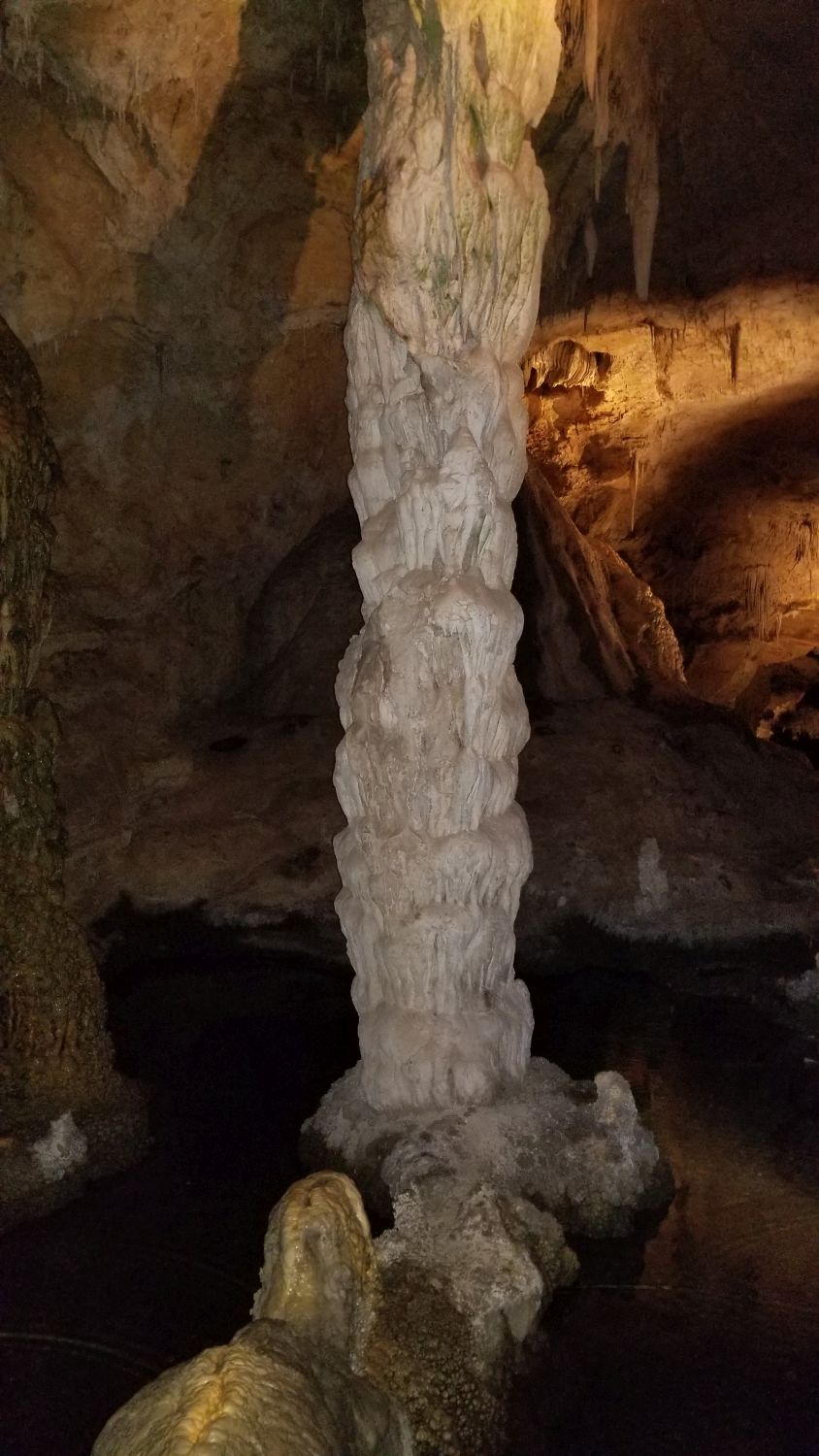 Carlsbad Caverns 